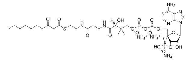 10:0（3-氧代）辅酶A Avanti Research&#8482; - A Croda Brand 870750P, powder