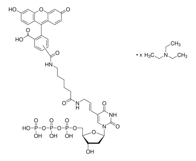 荧光素-12-dUTP 三乙铵盐 溶液 &#8805;95.0% (HPLC)