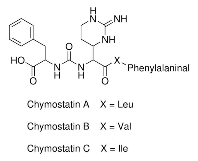 Chymostatin microbial