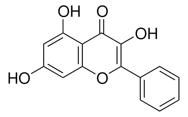 Galangin autophagy inducing flavonoid