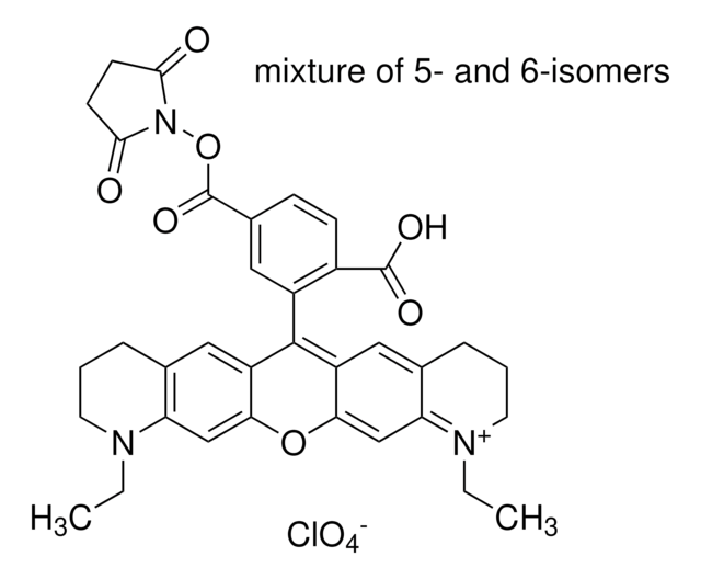 Atto 565 NHS酯 BioReagent, suitable for fluorescence, &#8805;90% (HPLC)