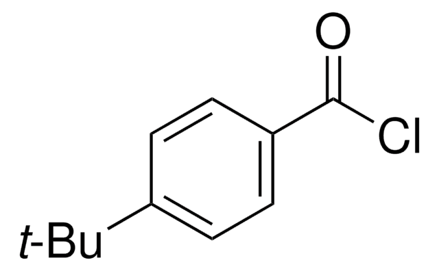 4-叔丁基苯甲酰氯 98%