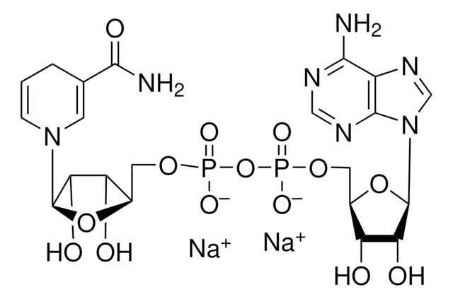 &#946;-Nicotinamide adenine dinucleotide, reduced disodium salt ~98%, pkg of 1&#160;mg (per vial)