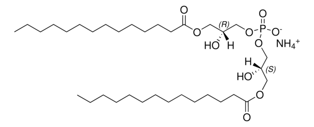 14:0 BMP (S,R) bis(monomyristoylglycero)phosphate (S,R Isomer) (ammonium salt), chloroform