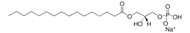 16：0 Lyso PA Avanti Polar Lipids