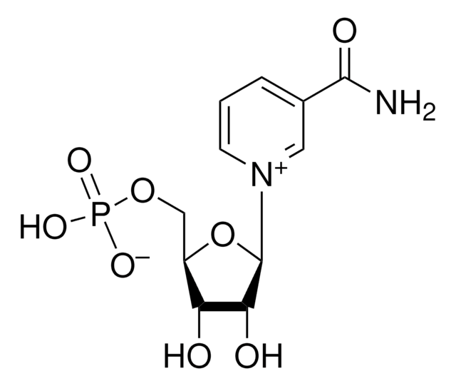 &#946;-烟酰胺单核苷酸 &#8805;95% (HPLC)