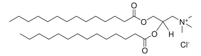 14:0 TAP Avanti Polar Lipids 890860P, powder