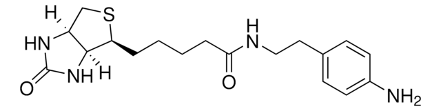 生物素-苯胺 &#8805;98% (HPLC)