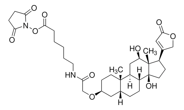 地高辛NHS酯 &#8805;80% (HPLC)