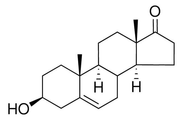 DHEA Avanti Polar Lipids