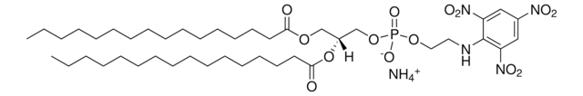 16:0 TNP PE Avanti Research&#8482; - A Croda Brand 810738P, powder