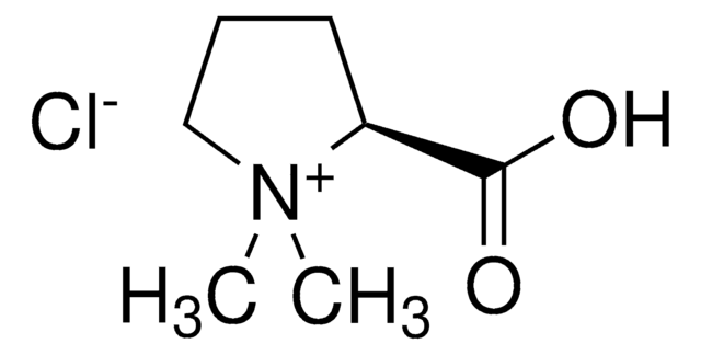 Stachydrine chloride phyproof&#174; Reference Substance