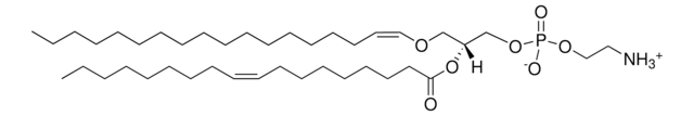 C18(Plasm)-18:1 PE Avanti Research&#8482; - A Croda Brand