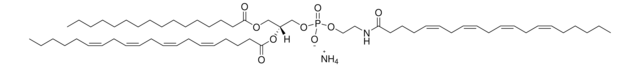 16:0-20:4 PE-N-20:4 Avanti Polar Lipids 872101C