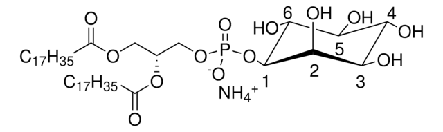 18:0 PI 1,2-distearoyl-sn-glycero-3-phosphoinositol (ammonium salt), powder