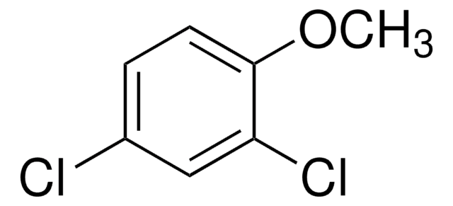 2,4-二氯苯甲醚 97%