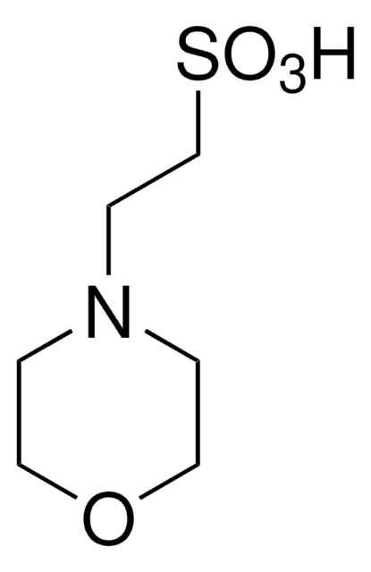 MES 溶液 BioUltra, for molecular biology, 0.5&#160;M in H2O