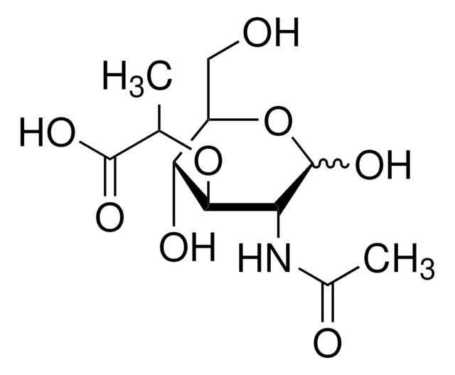 N-乙酰胞壁酸 &#8805;98% (TLC)