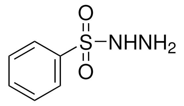 苯磺酰肼 98%