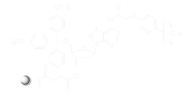 dA(tac)-CPG pore size 500&#160;Å, 30-40 &#956;mol/g