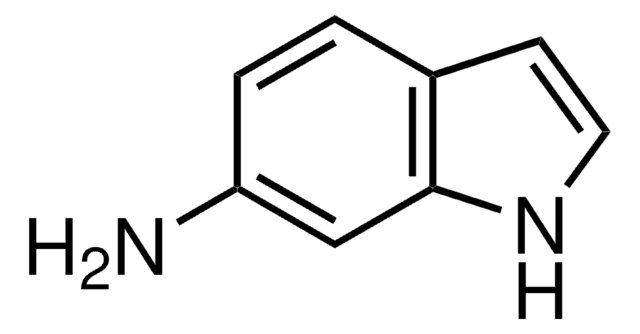 6-氨基吲哚 97%