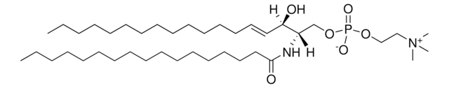 17:0 SM (d18:1/17:0) Avanti Polar Lipids 860585P, powder