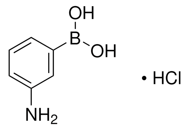 3-氨基苯硼酸 盐酸盐 98%