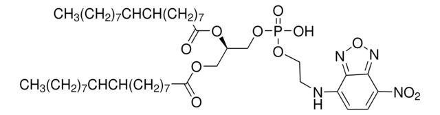 1,2-Dioleoyl-sn-glycero-3-phosphoethanolamine, 7-nitrobenzofurazan-labeled BioReagent, suitable for fluorescence, ammonium salt, &#8805;98.0% (TLC)