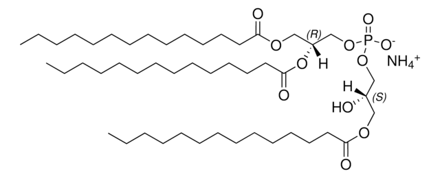 14:0 Hemi BMP (S,R) sn-(3-myristoyl-2-hydroxy)-glycerol-1-phospho-sn-3&#8242;-(1&#8242;,2&#8242;-dimyristoyl)-glycerol (ammonium salt), powder