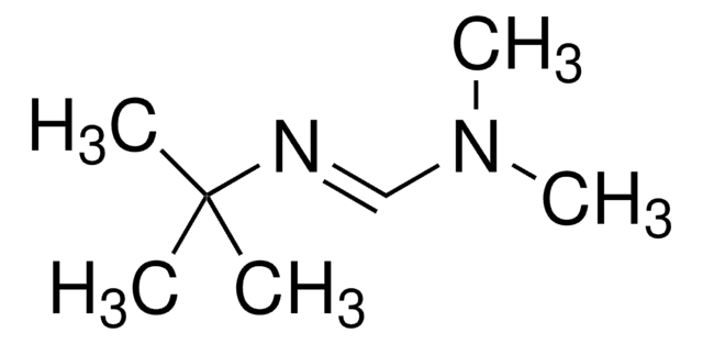 N′-叔丁基-N,N-二甲基甲脒 97%