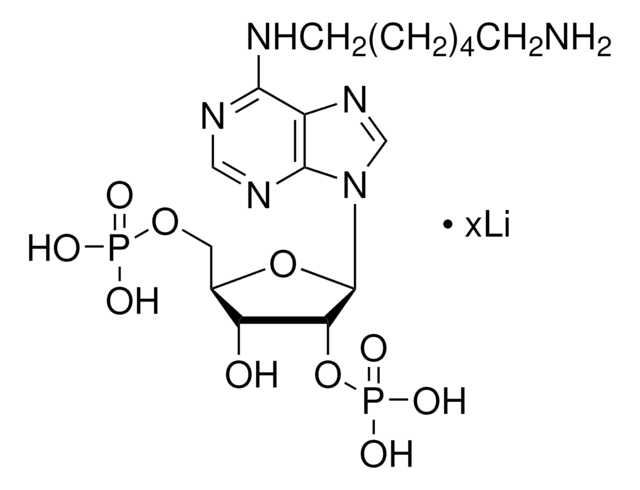 N6-(6-Aminohexyl)adenosine 2&#8242;,5&#8242;-diphosphate lithium salt