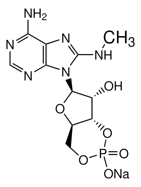 8-MA-cAMP &#8805;98% (HPLC), solid