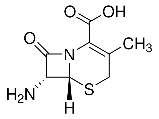 7-氨基去乙酰氧基头孢烷酸 British Pharmacopoeia (BP) Reference Standard