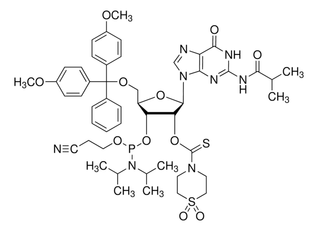 DMT-2&#8242;O-TC-rG(ib) Phosphoramidite configured for MerMade