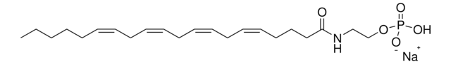 C20:4 anandamide phosphate Avanti Polar Lipids 870440C