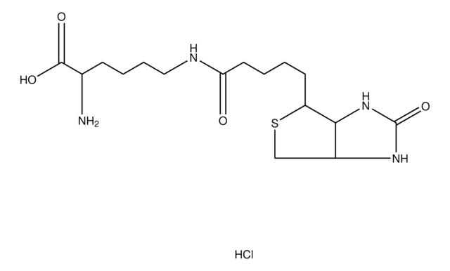 Biocytin hydrochloride &#8805;98% (TLC)