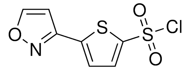 5-(3-Isoxazolyl)-2-thiophenesulfonyl chloride AldrichCPR