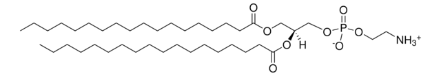 Ent-DSPE Avanti Polar Lipids