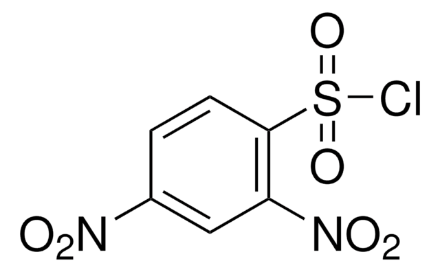 2,4-二硝基苯磺酰氯 97%