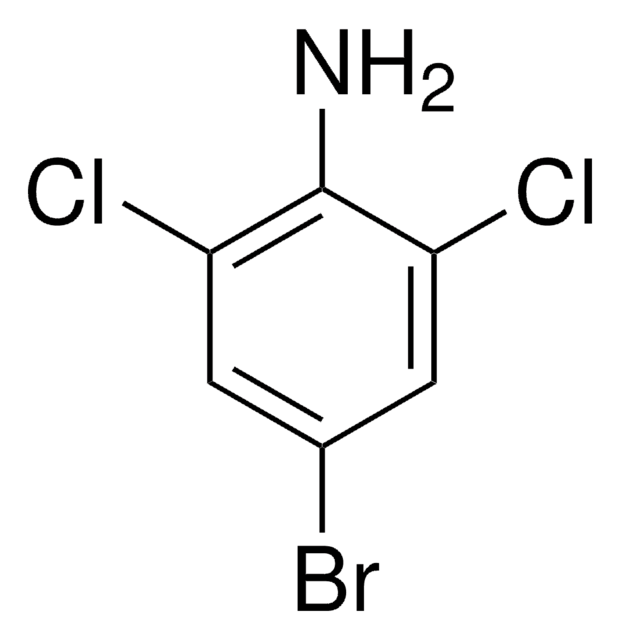 4-溴-2,6-二氯苯胺 97%