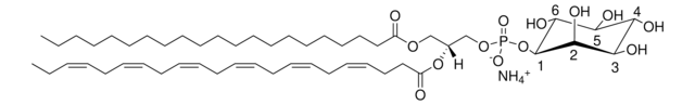 21:0-22:6 PI Avanti Polar Lipids LM1503, methanol solution