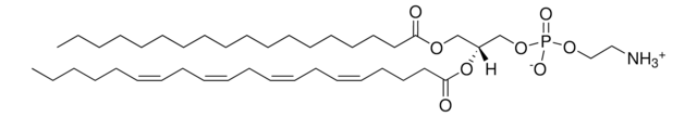 肝脏PE Avanti Polar Lipids 840026P, powder