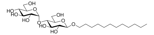 正十二烷基&#946;--D-麦芽糖苷（DDM） Avanti Polar Lipids