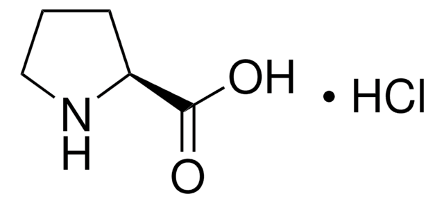 L-Proline hydrochloride solution 100&#160;mM amino acid in 0.1 M HCl, analytical standard