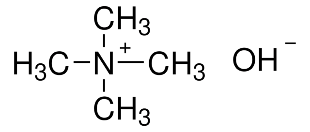 四甲基氢氧化铵 溶液 25&#160;wt. % in methanol