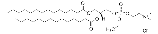 14:0 EPC (Cl Salt) Avanti Polar Lipids 890701C