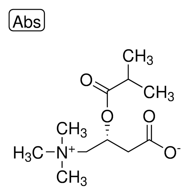 异丁酰基- L -肉碱 analytical standard