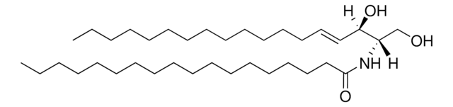 C18 Ceramide (d18:1/18:0) Avanti Research&#8482; - A Croda Brand