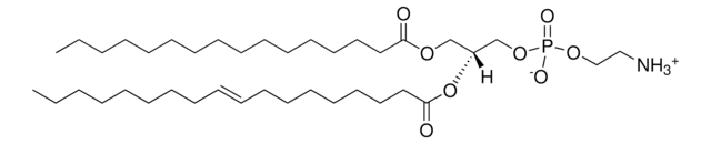 大肠菌 PE Avanti Polar Lipids 840027P, powder