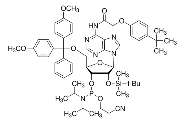 DMT-2&#8242;O-TBDMS-rA(tac) Phosphoramidite configured for ABI